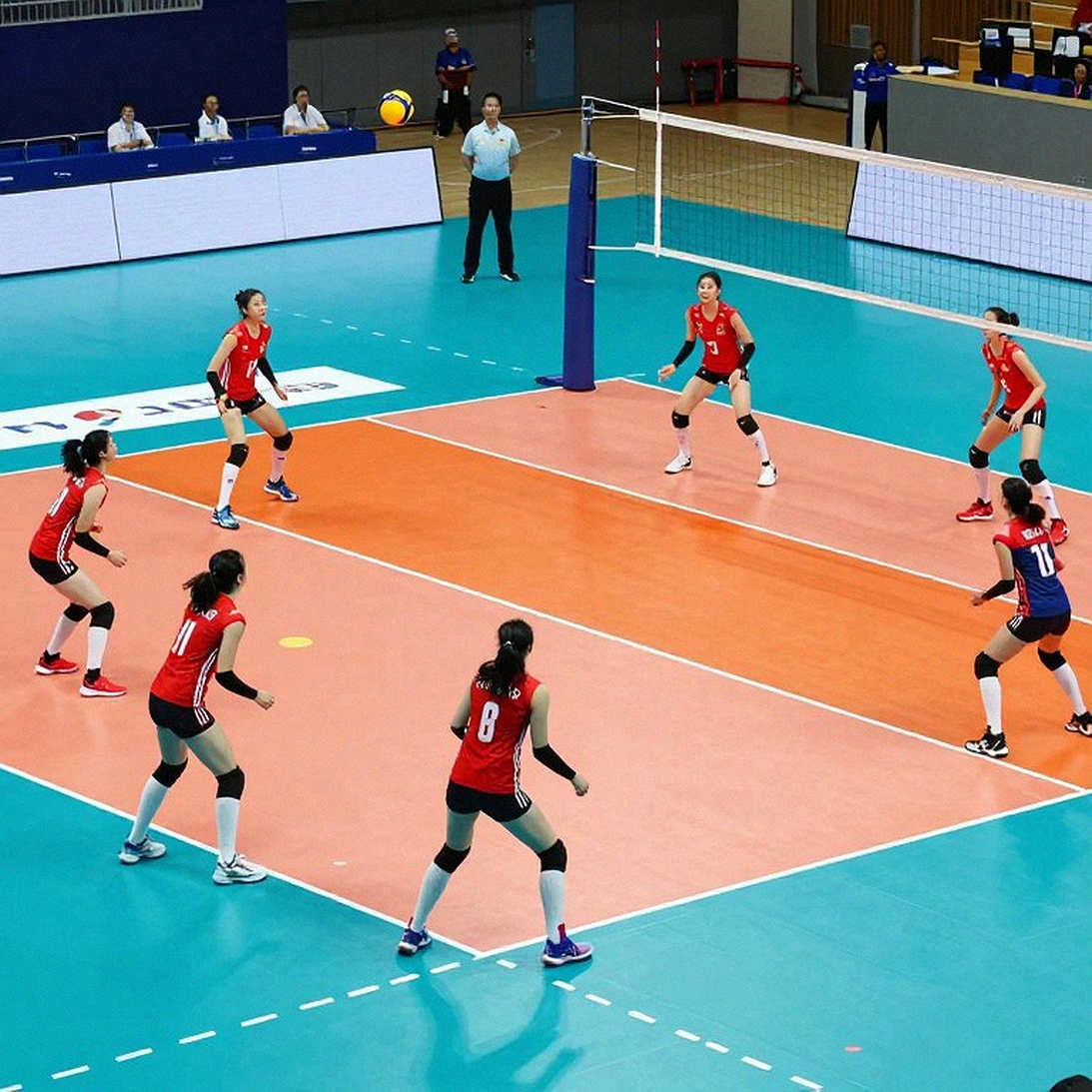 Terzić's Empty Chair and Serbia's 3-1 Win: Bošković's 29 Points Were Not the Full Story