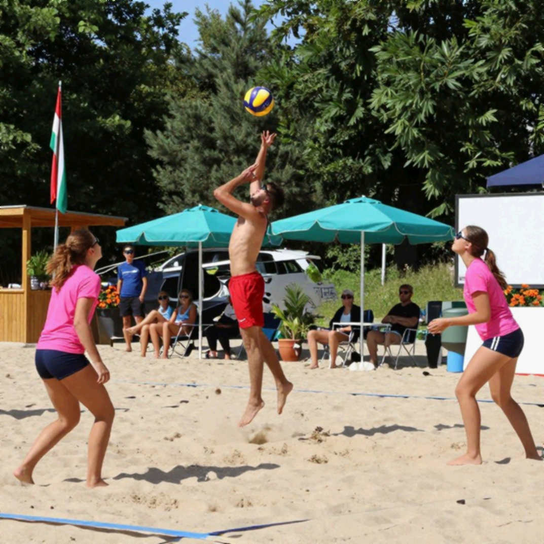 Vietnamese Women's Volleyball: When the Data Goes Missing, the Stands Do the Counting Vietnamese Women's Volleyball: When the Data Goes Missing, the Stands Do the Counting