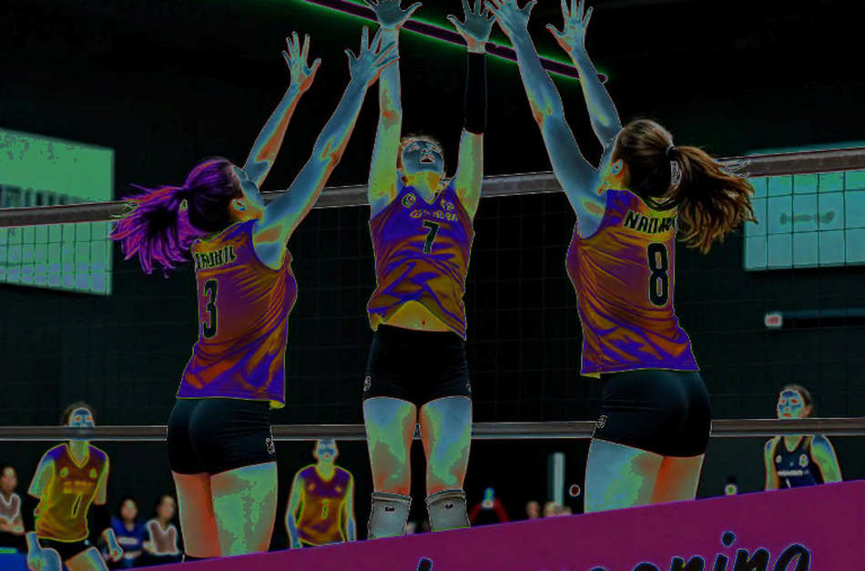 Vietnamese Women's Volleyball: When the Data Goes Missing, the Stands Do the Counting Vietnamese Women's Volleyball: When the Data Goes Missing, the Stands Do the Counting