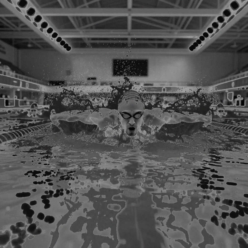 Bơi lội Việt Nam trên hành trình chinh phục dữ liệu: Khi số liệu trở thành nhịp tim của Olympic 2028