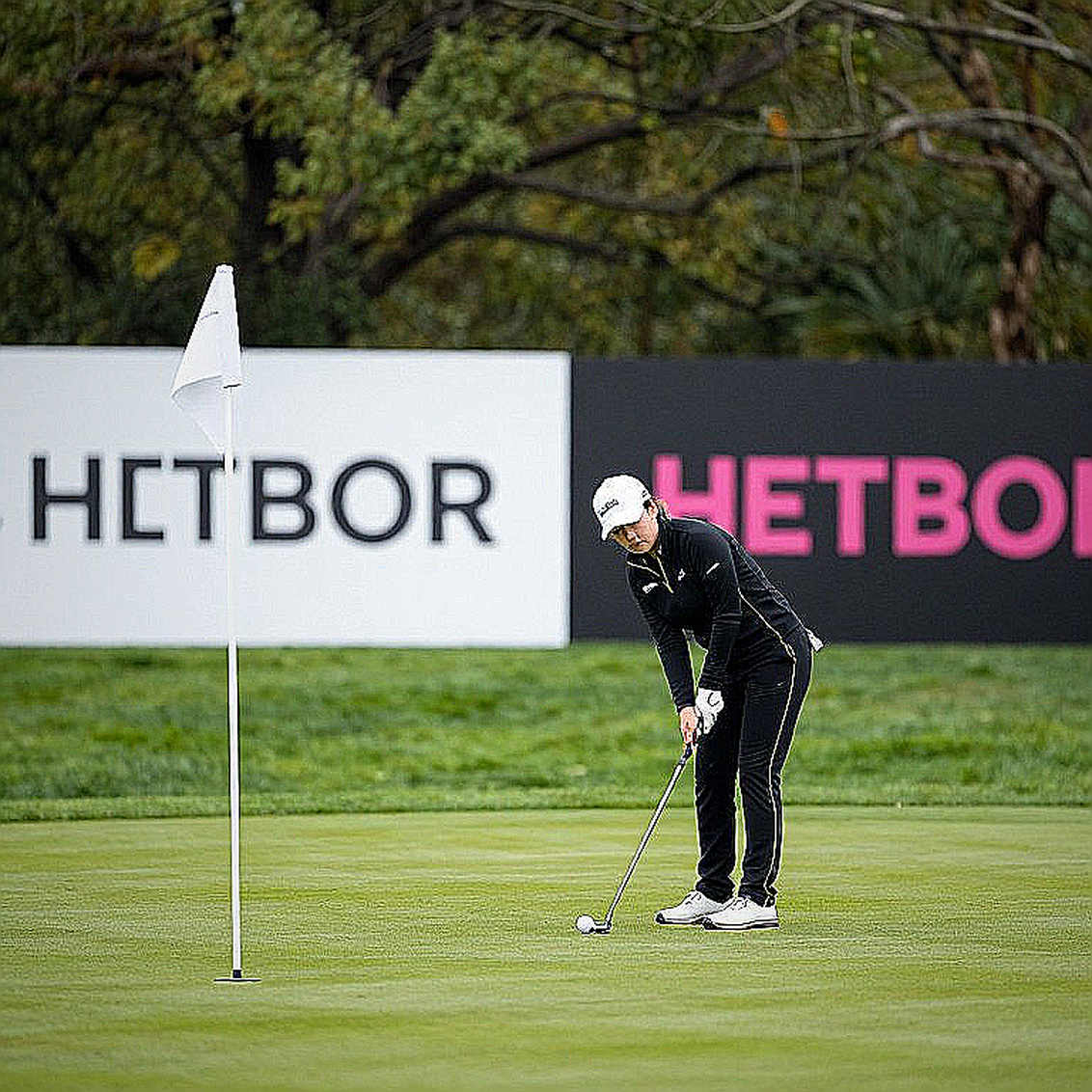Golf Việt Nam thiếu thứ PGA Tour đã có từ hai thập kỷ: dữ liệu từng cú đánh Golf Việt Nam thiếu thứ PGA Tour đã có từ hai thập kỷ: dữ liệu từng cú đánh